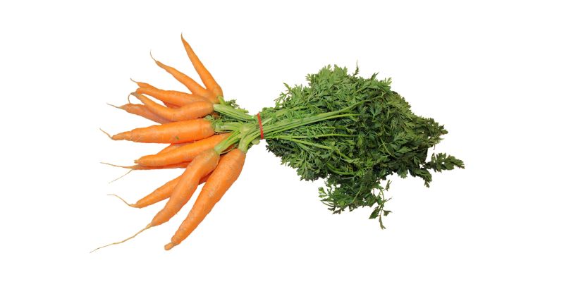गाजर (Carrots)