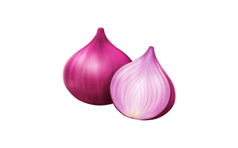 प्याज (Onion)