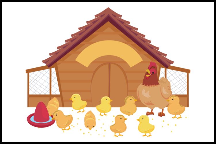 Poultry farm business